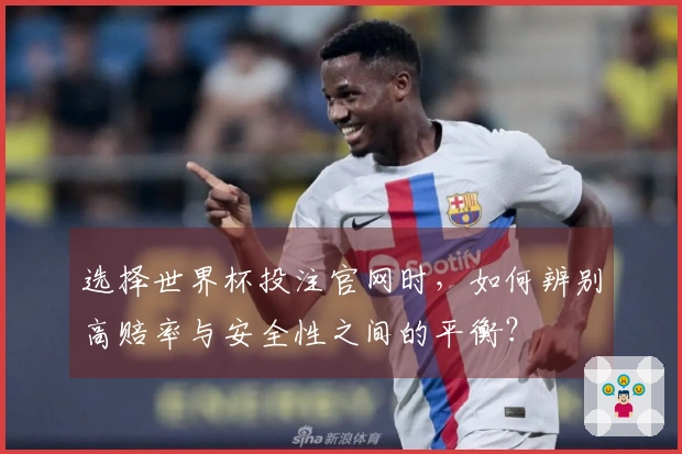 选择世界杯投注官网时，如何辨别高赔率与安全性之间的平衡？