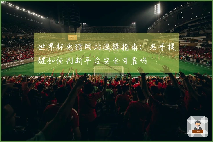 世界杯竞猜网站选择指南：老手提醒如何判断平台安全可靠吗