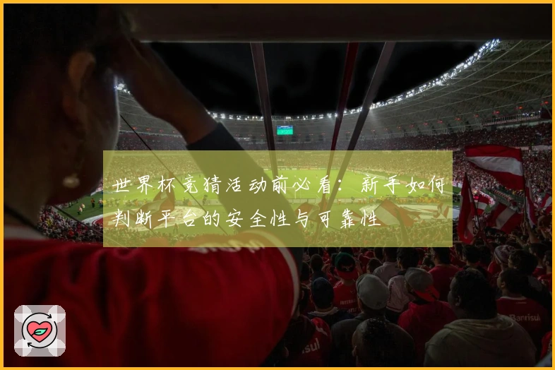 世界杯竞猜活动前必看：新手如何判断平台的安全性与可靠性