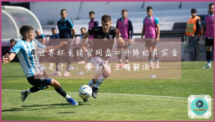 世界杯竞猜官网盘口升降的真实含义是什么，要如何正确解读？