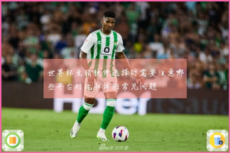 世界杯竞猜软件选择时需要注意哪些平台对比和评测常见问题