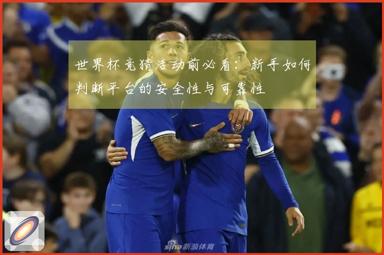 世界杯竞猜活动前必看：新手如何判断平台的安全性与可靠性