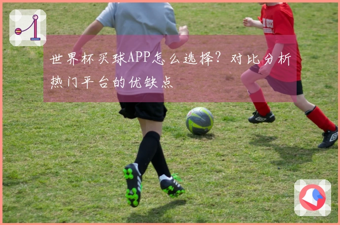 世界杯买球APP怎么选择？对比分析热门平台的优缺点